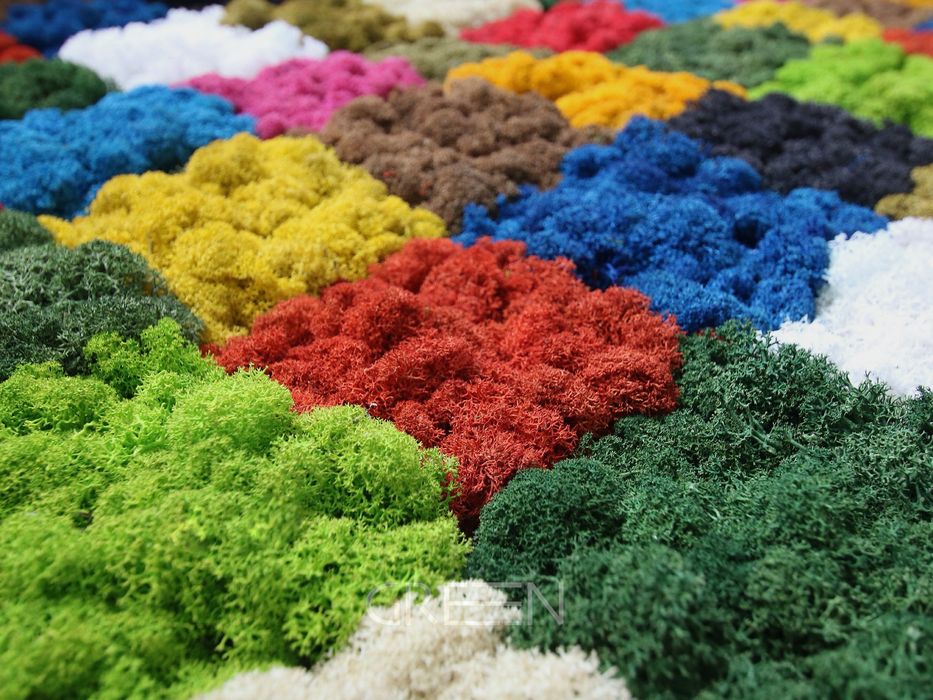 Мох | стаб | Gul | Fitostena