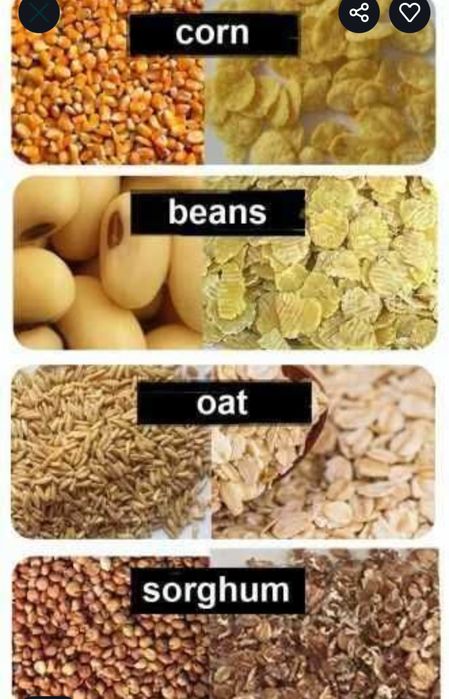 Плющилка 150кг в час