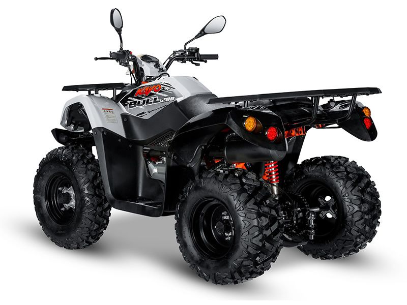 KAYO - ATV AU200 inmatriculabil T3b atv