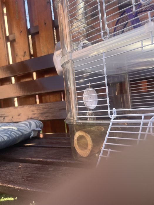 Cusca hamster cu etaj