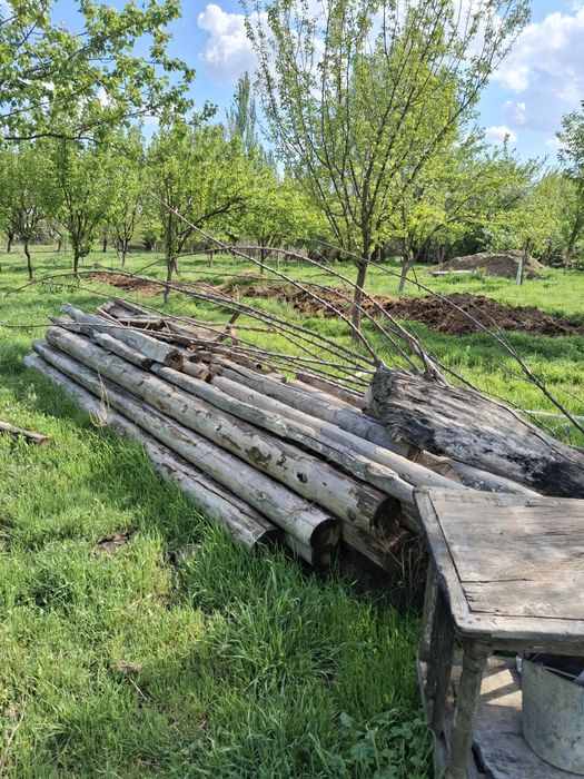 Отын ағаш бар сатылады