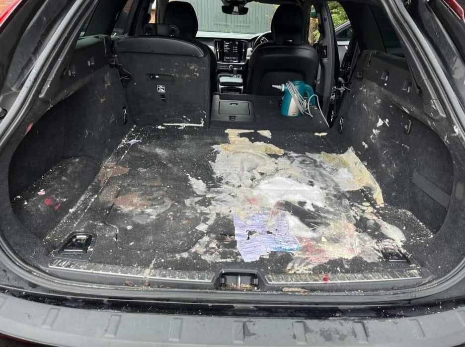 Пастиране / Полиране, пране на салони и др.