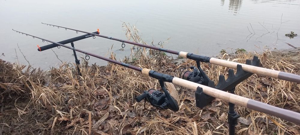 Vand doua bete fara mulinete Delphin Magma M3 Heavy Feeder