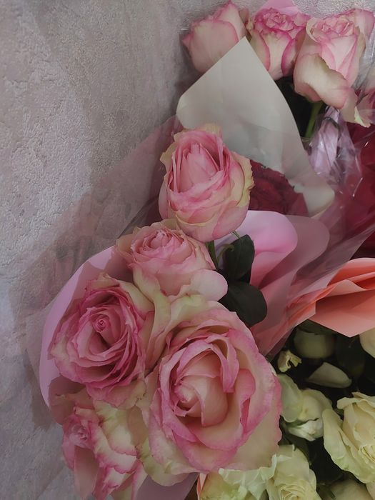 Цветы розы красные