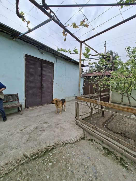 Ёрмазорда 3 та 9 сотихлик участка. Катедж куриб сотувчилар учун аъло и