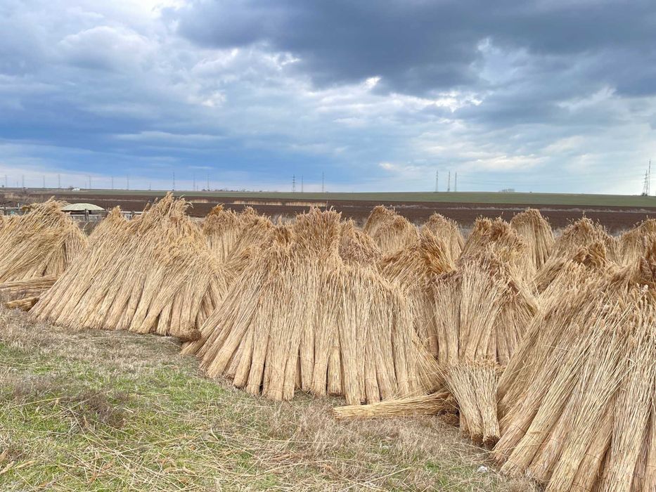 Acoperis Stuf, Stuf, Lucrari cu stuf cu Garantie, Factura