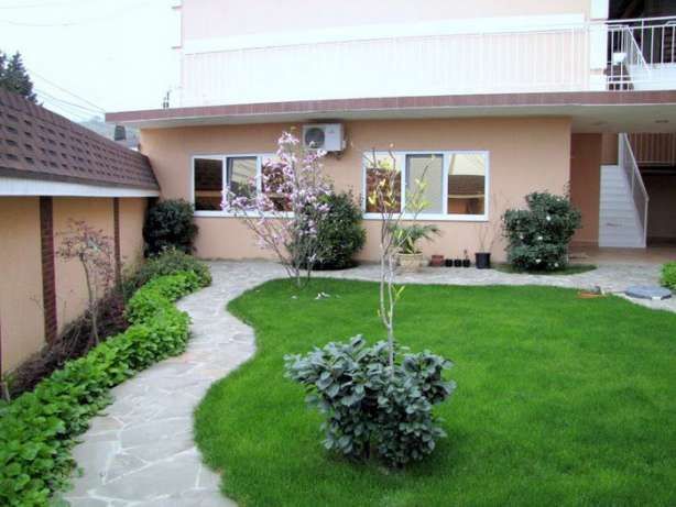 Рулонный газон и семена. Газон экамиз 1-кунда