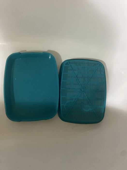 туалет для маленького котенка