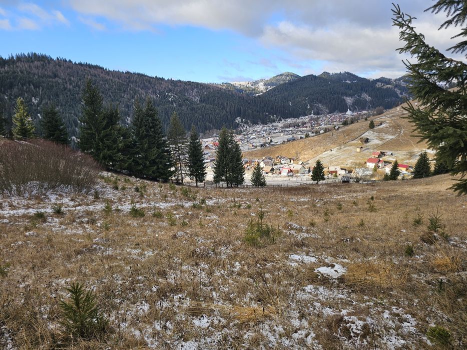 Teren de vanzare in Bucovina Comuna Breaza