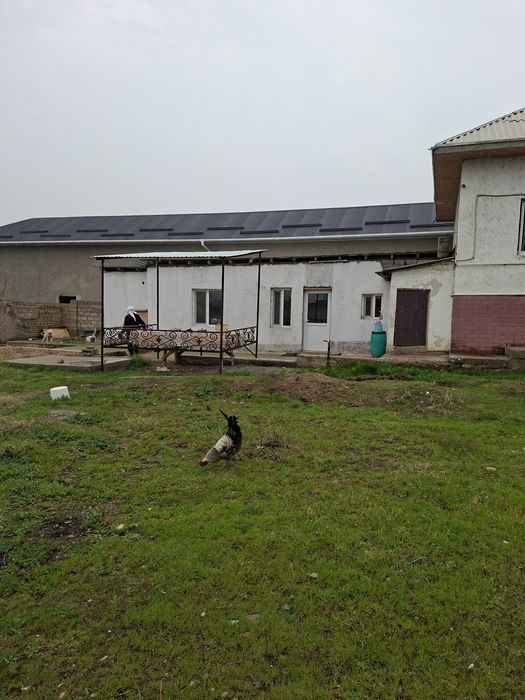 Недвижемость отдельный дом