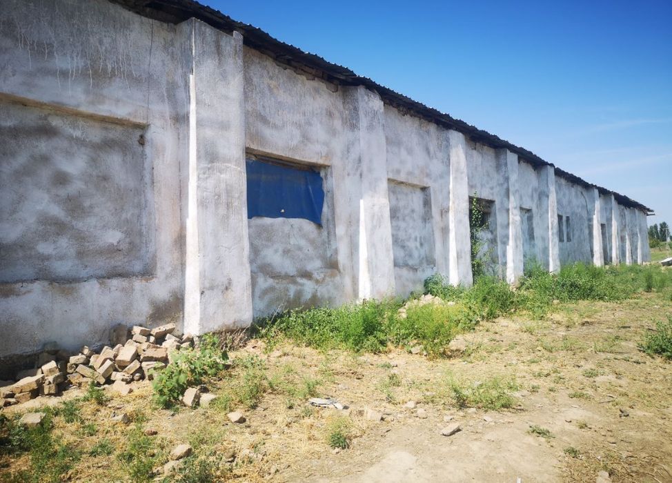 Назарбек томонда 2 гектар ер сельхозназначения