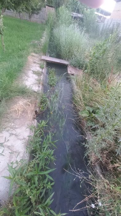 Yer ijaraga beriladi / Kvartira beriladi / Аренда / Новый Ташкент