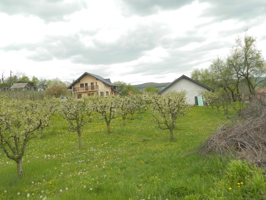 Teren Barnova, Cercu