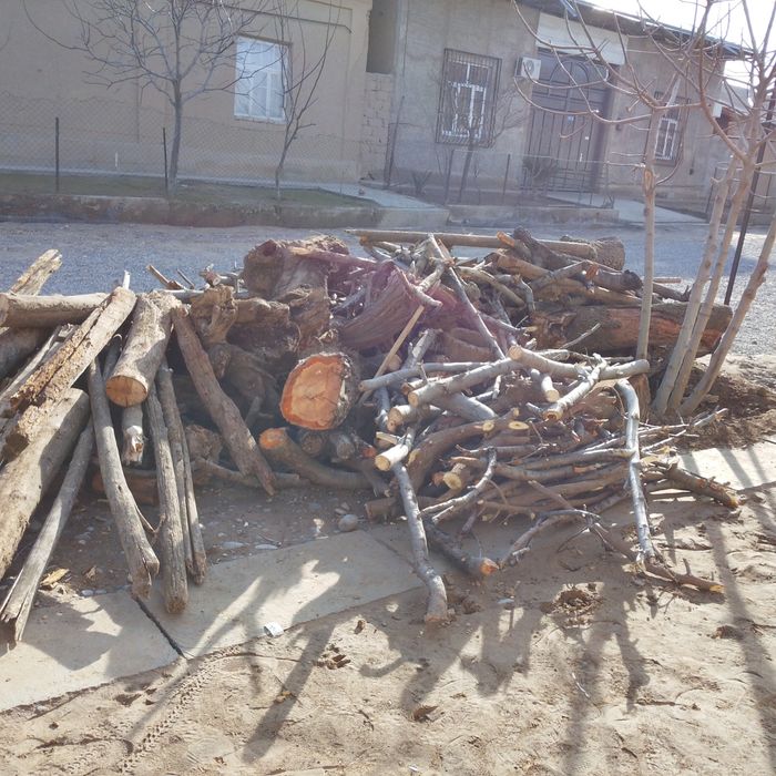 Утин сотаман кунда