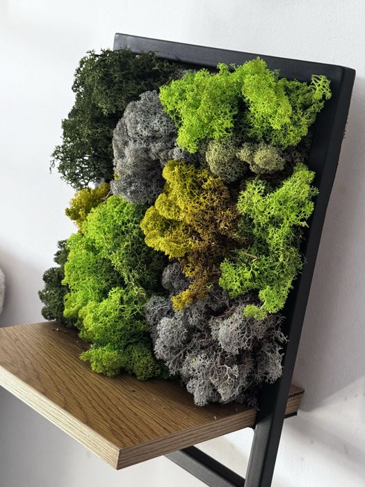 Decorațiuni handmade cu mușchi natural stabilizat
