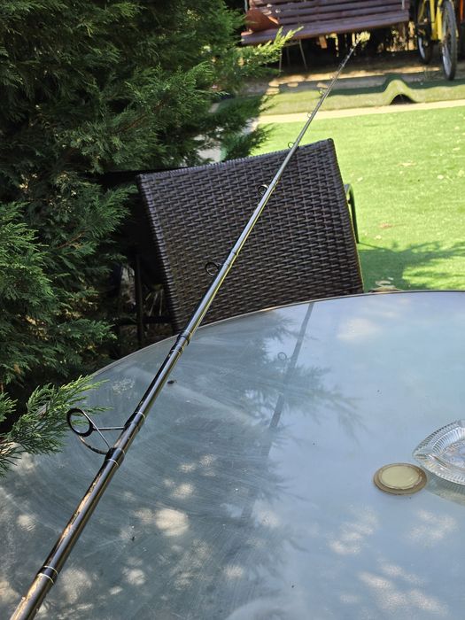 Vand lanseta Master Carp Pro 4.20 si mulineta