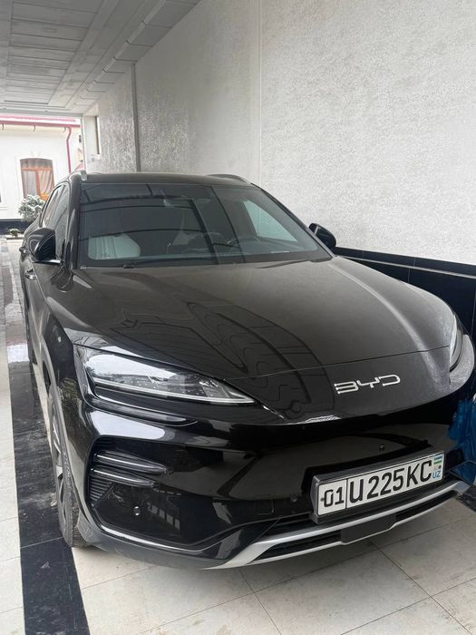 BYD Champion Electric