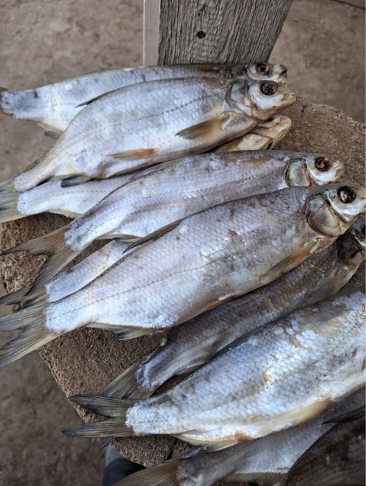 Рыбец Вяленый рыбец крупный