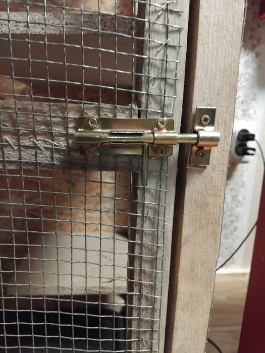 Cușcă animale sau păsări ( colivie )