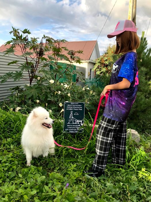 Дрессировка собак- Зоогостиница