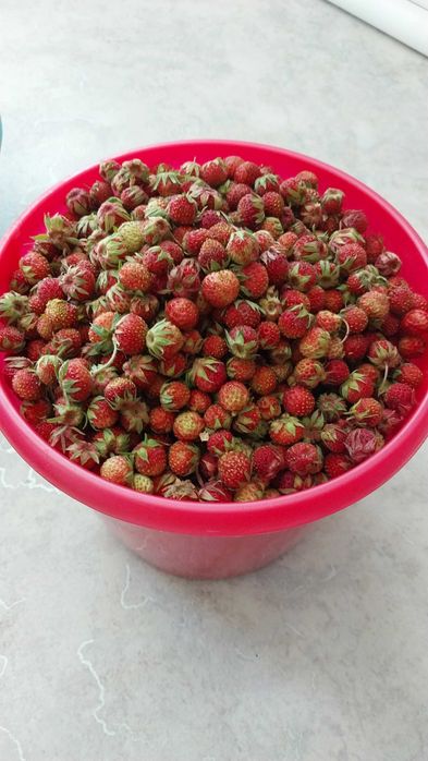 Варенье из лесной ягоды