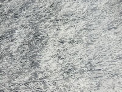 Искусственный газон белый 40мм 10500dtex