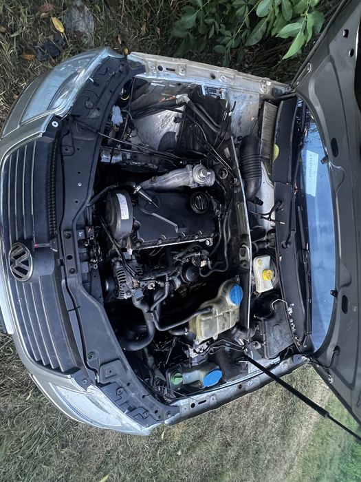 Pasaat b5.5 1.9 avf
