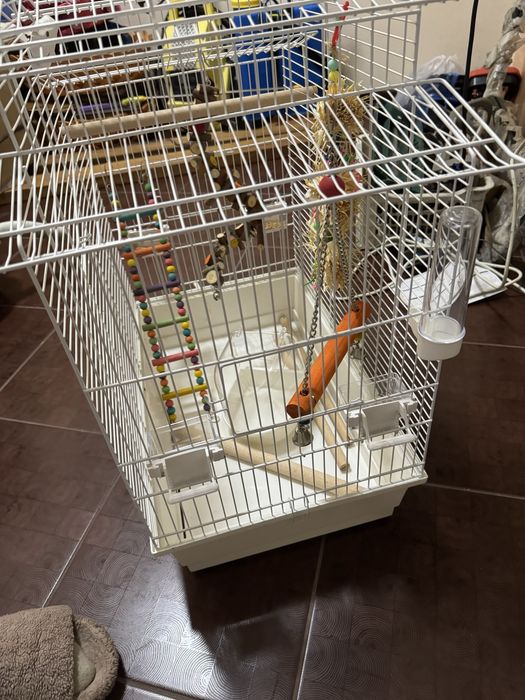 Рещетка для птиц