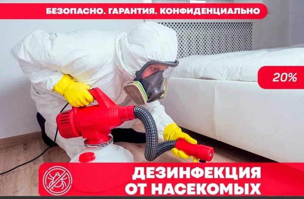 Дезинфекция в Ташкенте