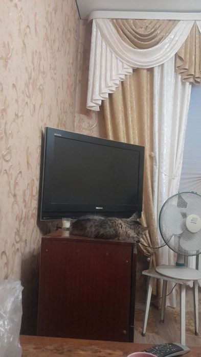 Аренда 1 комнатная квартира Сергели 1.