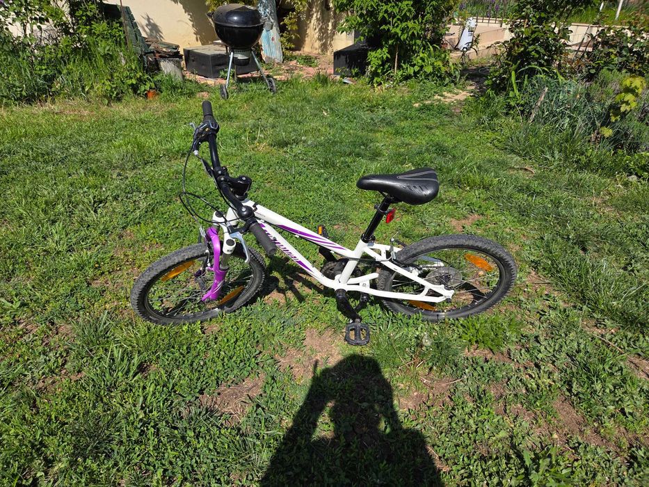 Bicicleta Specialized