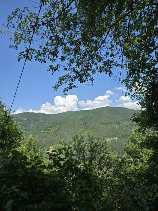 Имот в с. Реброво, Софийска област