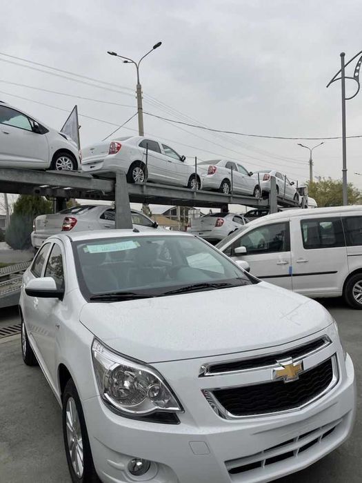 Cobolt oq 2024 salondan uyga