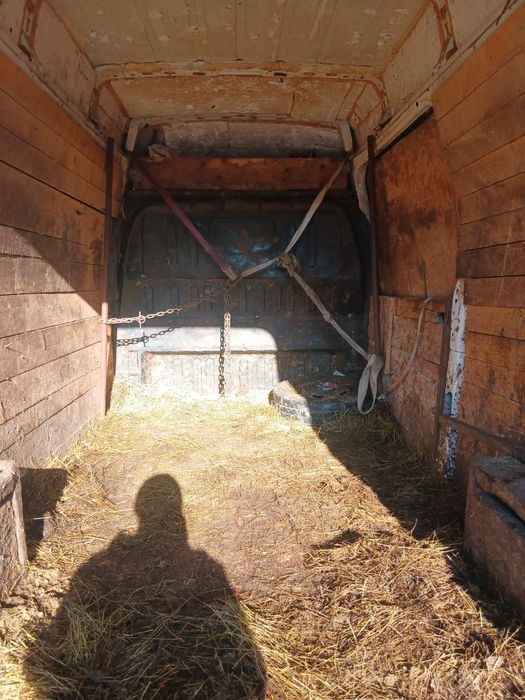 Vand sau schimb cu animale