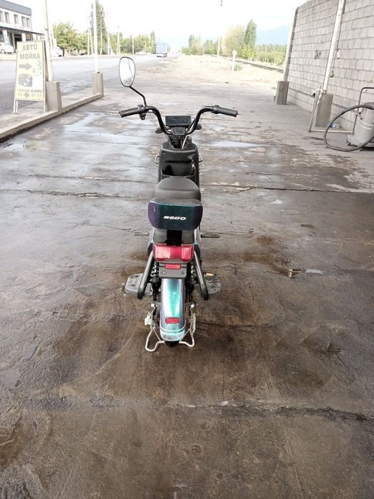 Olganiga bir oy bogan