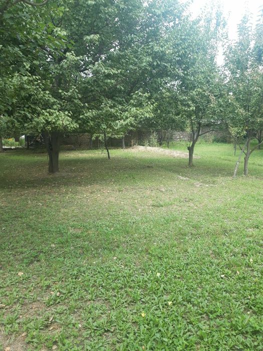 Ховли уй сотилади