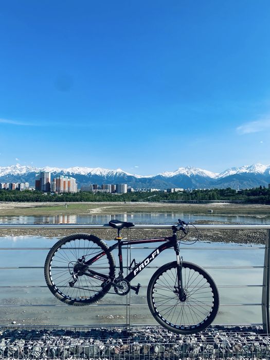 Велосипед PRO-FI mtb