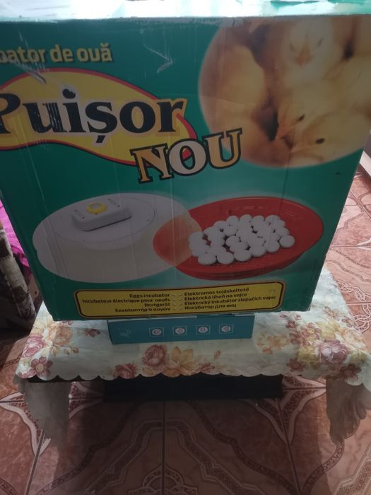 Incubator 70 de ouo