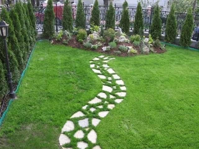 Gazon și plante ornamentale