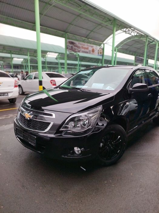 Kobalt 2026 model Stayl MSM