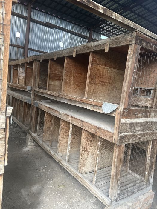 Продаются клетки для кроликов