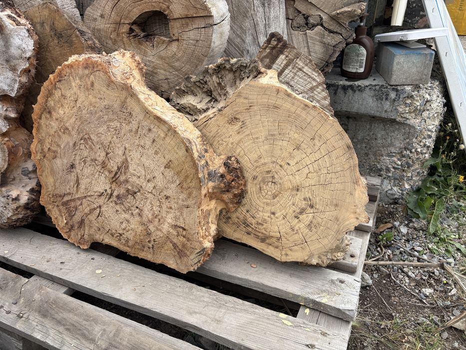 Карагач спилы разные размеры