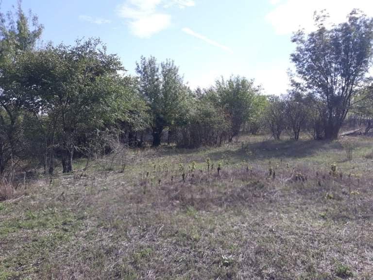 Продава се Парцел в с. Бояново, Област Ямбол - 755 кв.м за 5 €/кв.м - Снимка #7