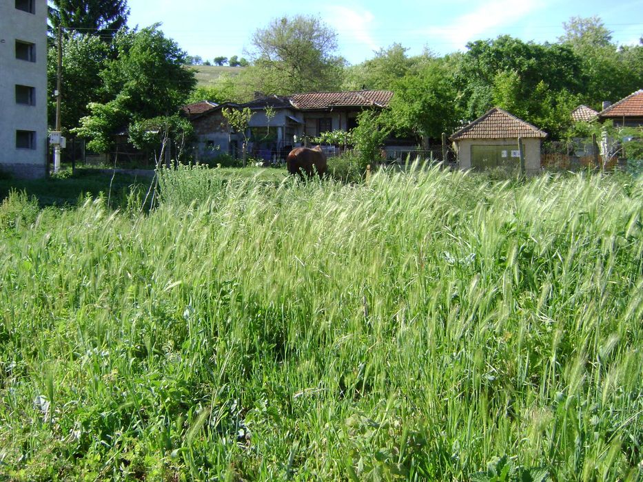 Продава се Къща в с. Кайнарджа, Област Силистра - 475 кв.м за 74 €/кв.м - Снимка #4