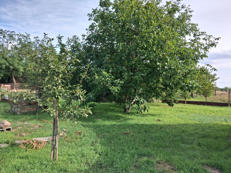 Schimb casă Iratoșu cu ap.1-2 camere sau vănd