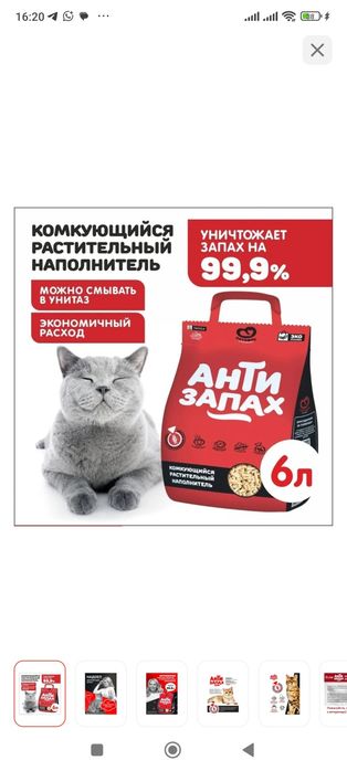 Кошка  в подарок все необходимое