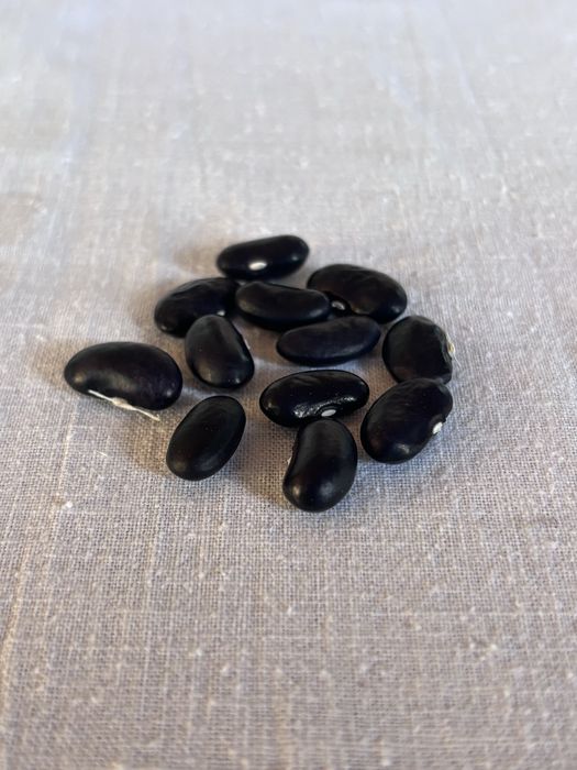 Boabe fasole Tescana