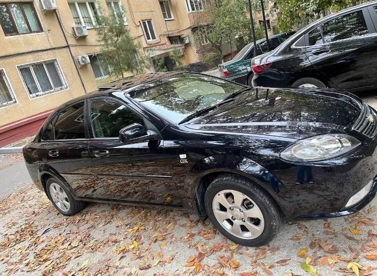 Gentra massla 2024 darkmoon blue top tozza 100%