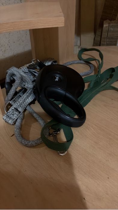 далматин далматинец долматин долматинец