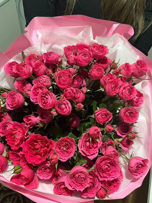 Свежие кустовая роза